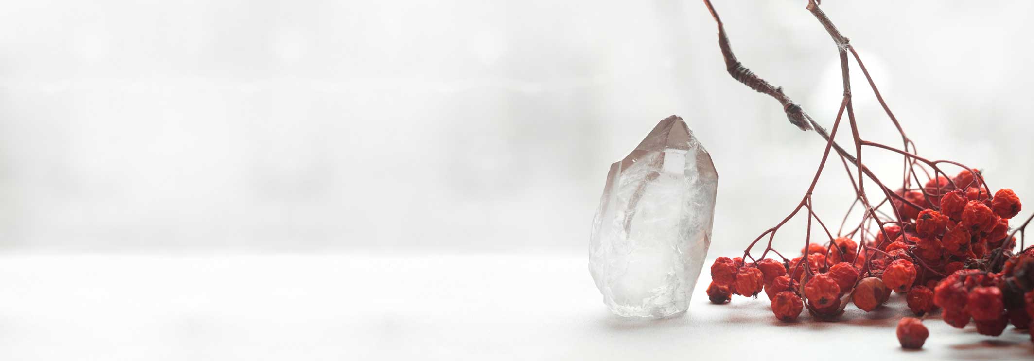Quartz cristal de roche & baies rouges sur fond blanc