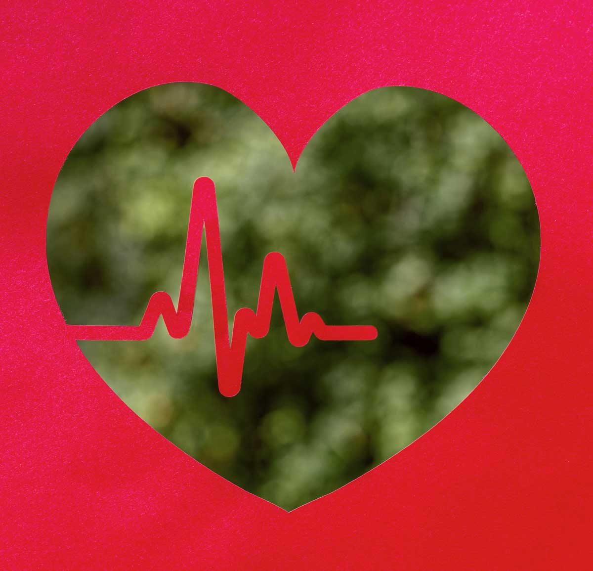 Coeur et fréquence